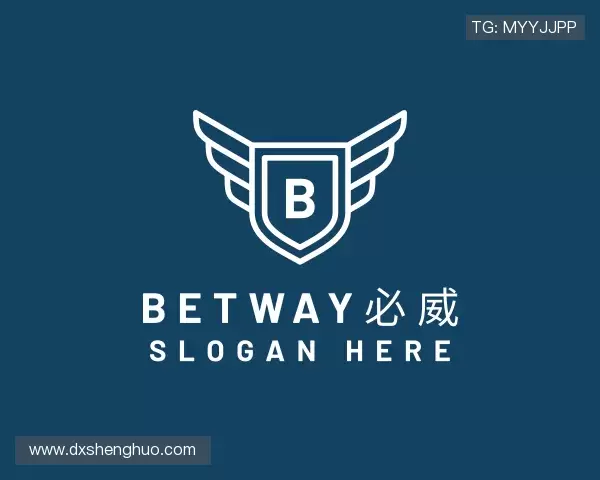 介绍必威西汉姆官网